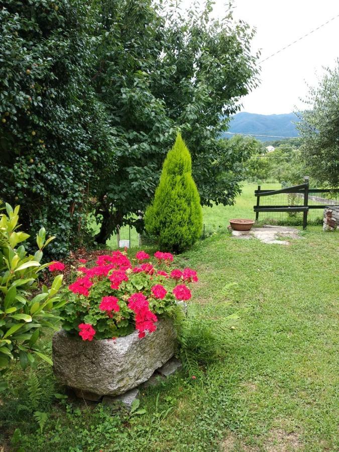 Villa Casa Bartula Bolzano Novarese Esterno foto