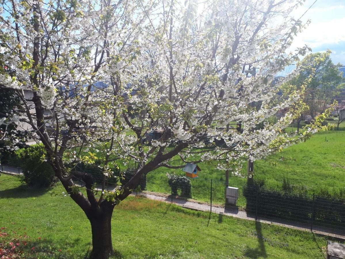 Villa Casa Bartula Bolzano Novarese Esterno foto